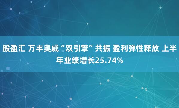 股盈汇 万丰奥威“双引擎”共振 盈利弹性释放 上半年业绩增长25.74%