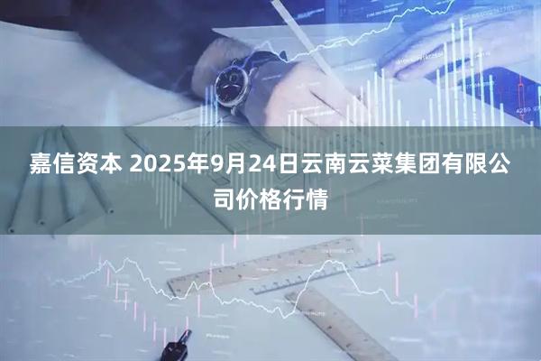 嘉信资本 2025年9月24日云南云菜集团有限公司价格行情